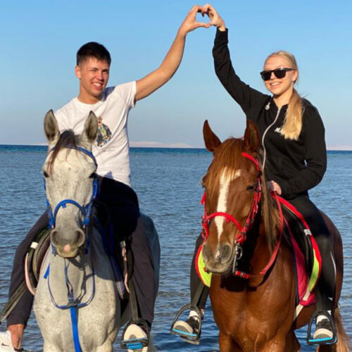 Rotes Meer & Wüste Reittour mit Schwimmen 1 oder 2 Stunden